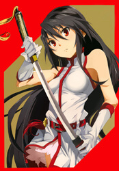 akame-ga-kill-zero