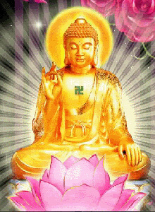 bai-hoc-cuoc-song-hay-va-y-nghia