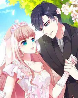 bang-son-tong-tai-sung-the-den-vo-dao