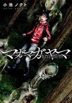 chuyen-kinh-di-tren-ngon-nui-balemount