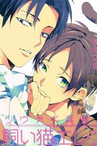 dai-chien-titan-doujinshi-levieren