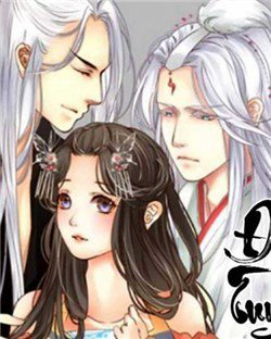 dem-tuyet-nghe-thay-anh-dao-roi