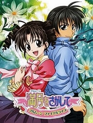 di-tim-mat-trang-tron