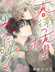 hoa-tra-doi-xuan-no-yeu-thuong