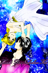 honki-de-nakechau-koi