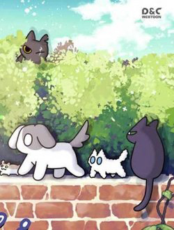 khi-loai-meo-lam-ba-chu-the-gioi