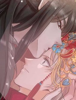 phu-phu-khuynh-thanh