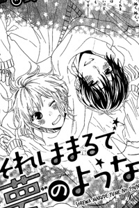 sore-wa-maru-de-yume-no-you-na