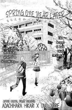 spring-one-year-later