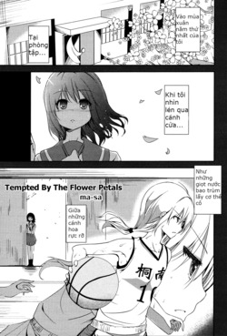 tempted-by-flower-petals