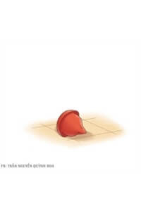 tinh-yeu-bat-dau-tu-ngay-hom-nay