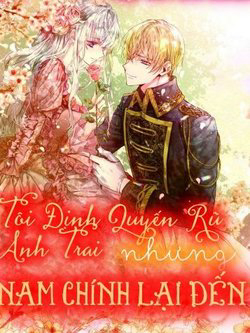 toi-dinh-quyen-ru-anh-trai-nhung-nam-chinh-da-den