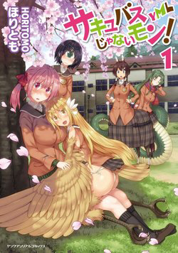 toi-khong-phai-la-succubus