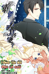 tong-tai-ba-dao-la-gay