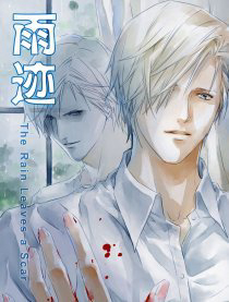 vu-tich-the-rain-leaves-a-scar