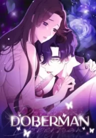 18-doberman