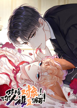 cong-luoc-doi-tuong-hinh-tuong-cua-cau-sap-roi