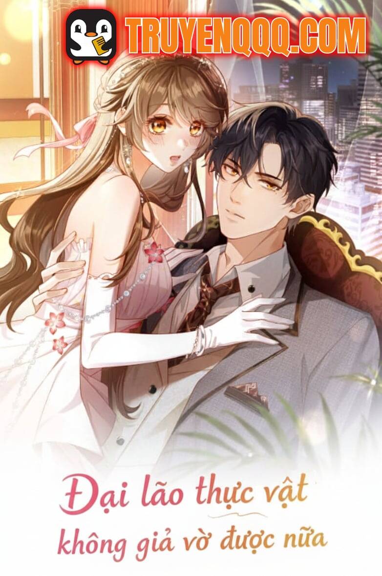 dai-lao-thuc-vat-khong-gia-vo-duoc-nua