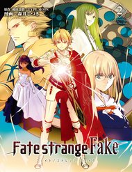 fatestrange-fake