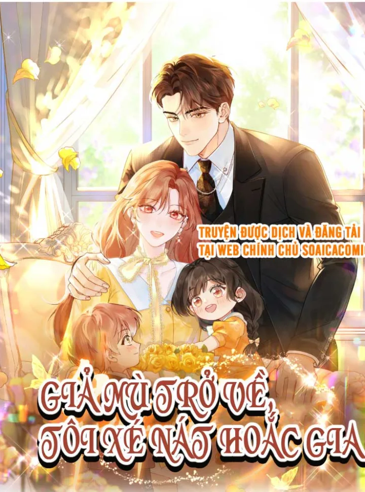 gia-mu-tro-ve-toi-xe-nat-hoac-gia