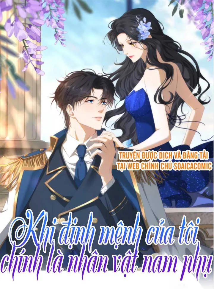 khi-dinh-menh-cua-toi-chinh-la-nhan-vat-nam-phu