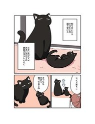 kuroneko-no-ohanashi