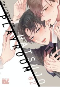 shiramatsu-hatsujou-playroom