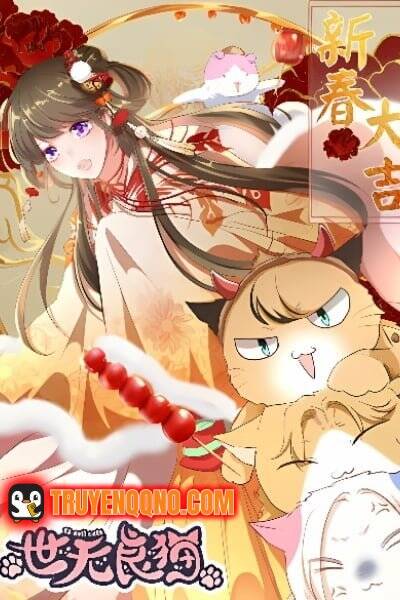 tren-doi-khong-co-meo-tot