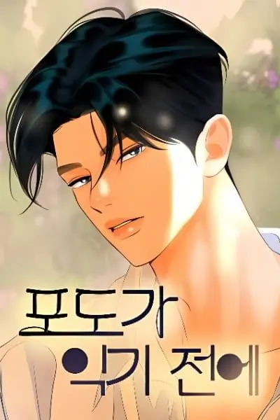 truoc-khi-mua-nho-chin